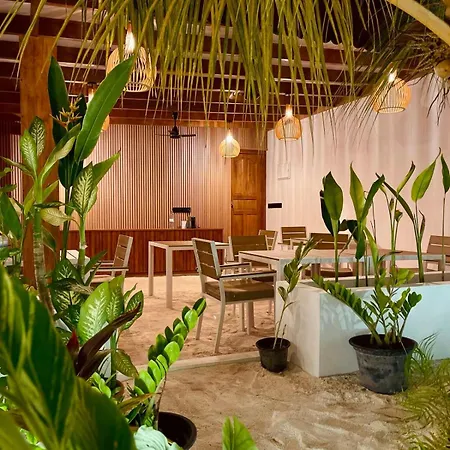 Hotel Oasis Dhigurah